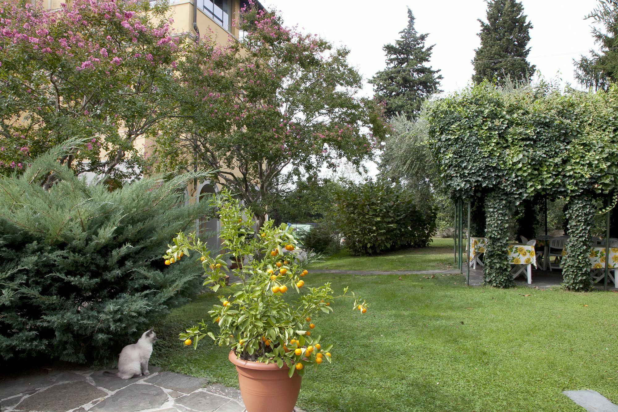 B&B Villa La Sosta Florence Exterior photo
